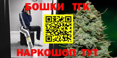 стаф Новодвинск