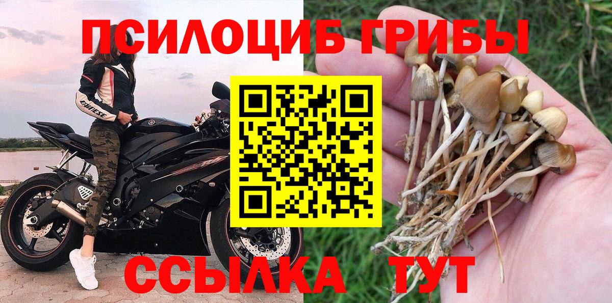 Псилоцибиновые грибы MAGIC MUSHROOMS  Вход с VPN  Топки 