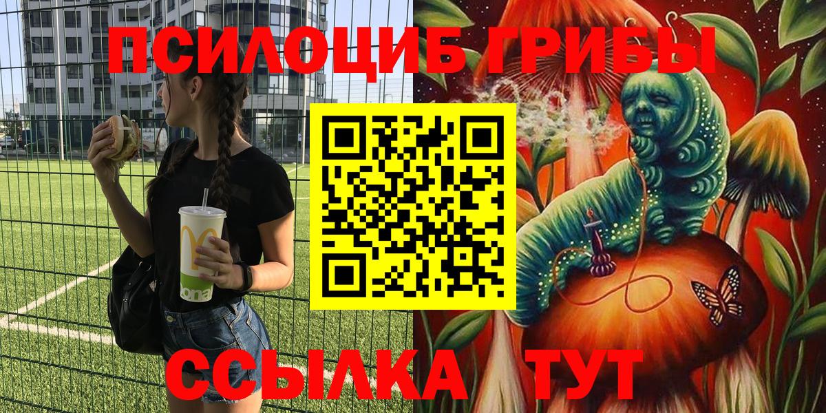 Псилоцибиновые грибы Psilocybine cubensis Топки
